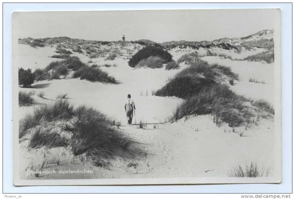 NETHERLANDS - HOLLANDSCH DUINLANDSCHAP, Photo Postcard - Ameland