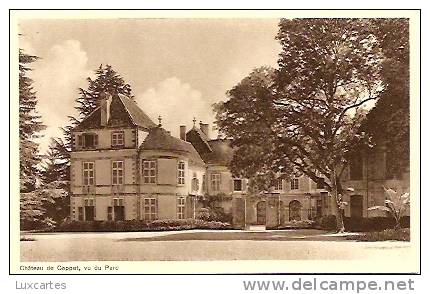 CHATEAU DE COPPET .VU DU PARC. - Coppet