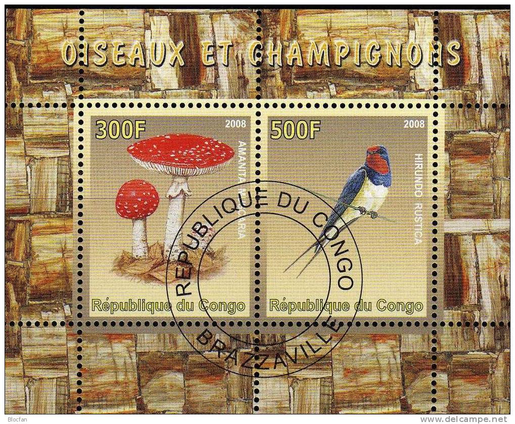 Natur Und Umwelt Kongo Block 6/2008 O 5€ Pilze Amanita Muscaria Vögel Hirundo Rustica Hoja S/s Bloc Sheet Bf Congo - Spechten En Klimvogels