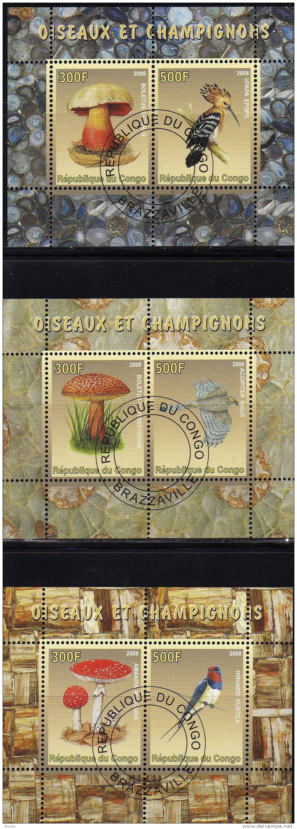 Natur Und Umwelt Kongo 6 Blocks 2008 O 30€ Orchideen, Schmetterlinge, Pilze, Vögel - Kilowaar (max. 999 Zegels)