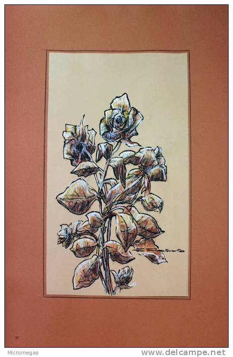 Etienne Petreto : Fleurs Au Couleurs Anciennes III : Bouquet De Roses - Pastel