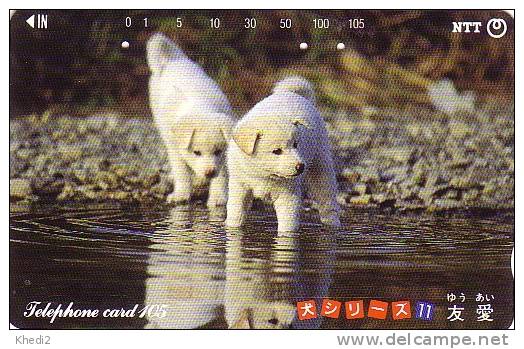 TC Japon / 291-203 - Série Numérotée Chien Japonais Genre Akita 11/12 - Dog Japan Phonecard - 450 - Japon