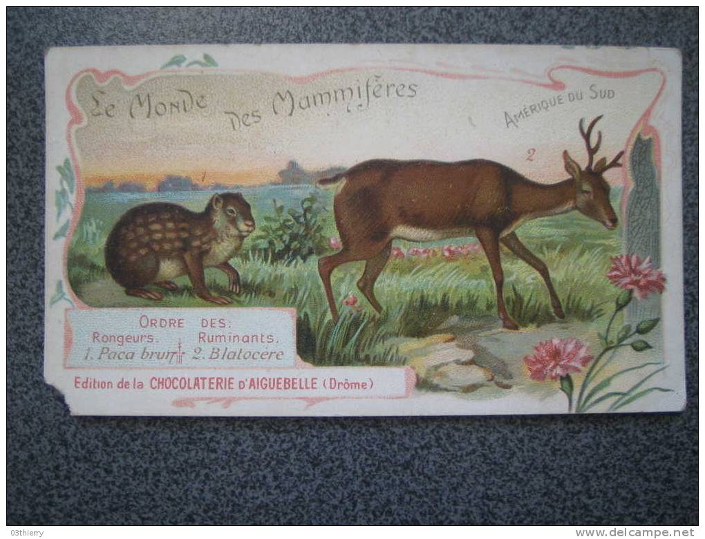 CHROMO-CHOCLATERIE D´AIGUEBELLE-LE MONDE DES MAMIFERES-LE PACA BRUN ET LE BLATOCERE DES PAMPAS- - Aiguebelle