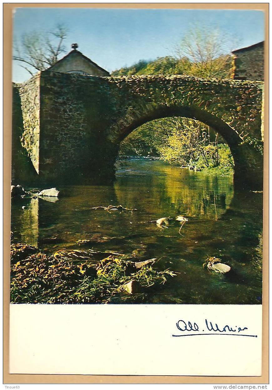 CPSM - ALBERT MONIER - A 10 123 - Environs D'ISSOIRE (Puy De Dôme) - Le Vieux Pont De Saurier - Monier