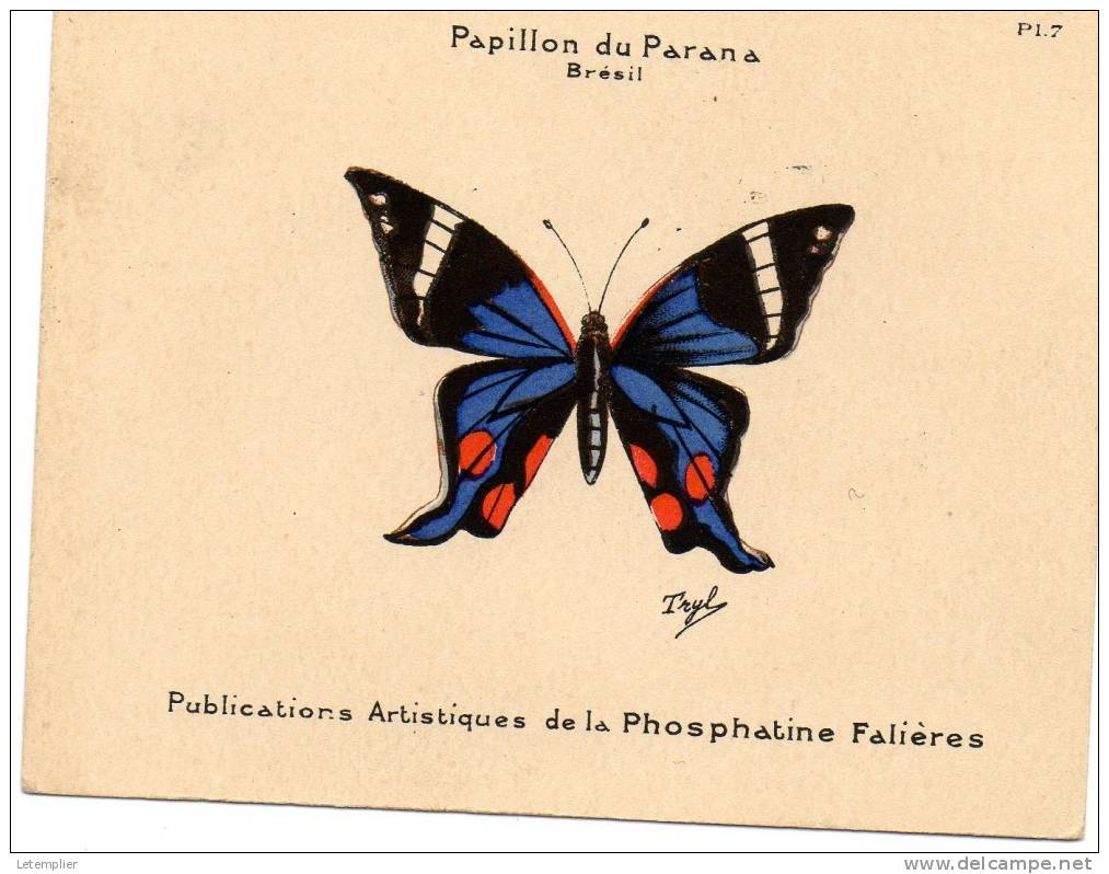 PHOSPHATINE PHALIERES  Papillon Du Panama - Autres & Non Classés