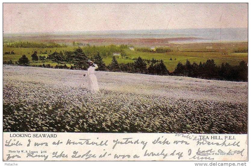 Canada - Prince-Edward Island - 1906 - Used - Canadian Souvenir - See Both Scans - Andere & Zonder Classificatie