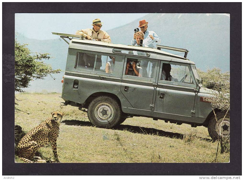 ANIMALS - AFRICAN WILDLIFE - EAST AFRICA - CHEETAH AND TOURIST BUS AT MONT KILIMANJARO - Lions