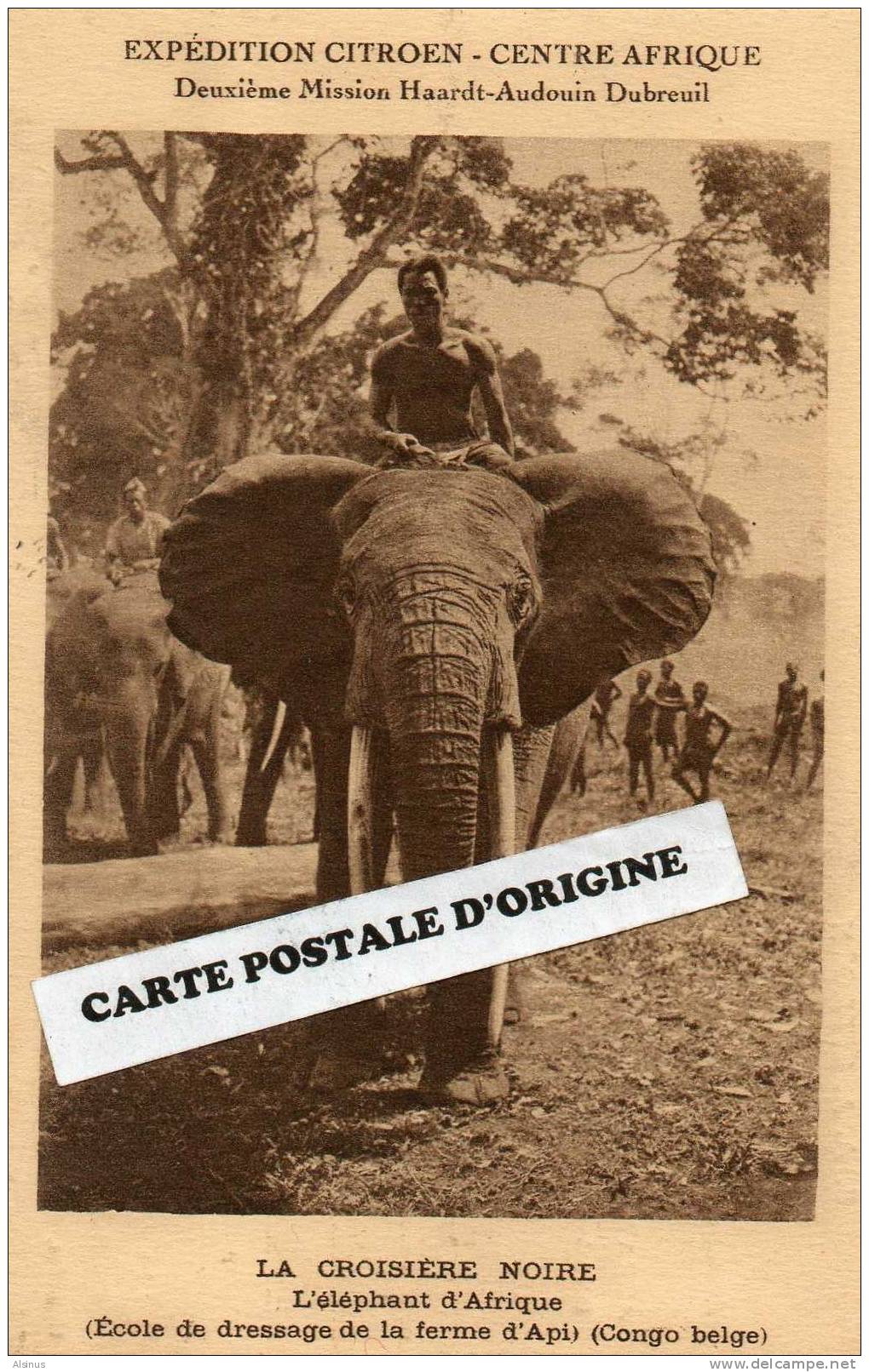 1924/1925 EXPEDITION AUTOMOBILES CITROEN - LA CROISIERE NOIRE - L'ELEPHANT D'AFRIQUE - Elephants