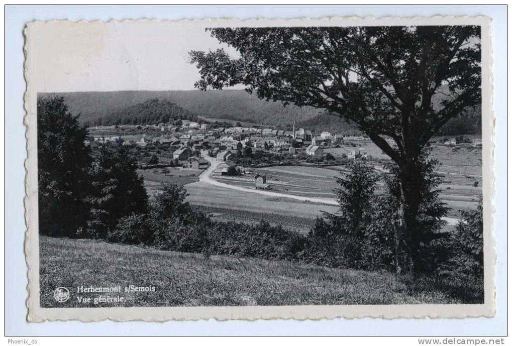 BELGIUM - HERBEUMONT / S Semois, Panorama, 1954. - Herbeumont