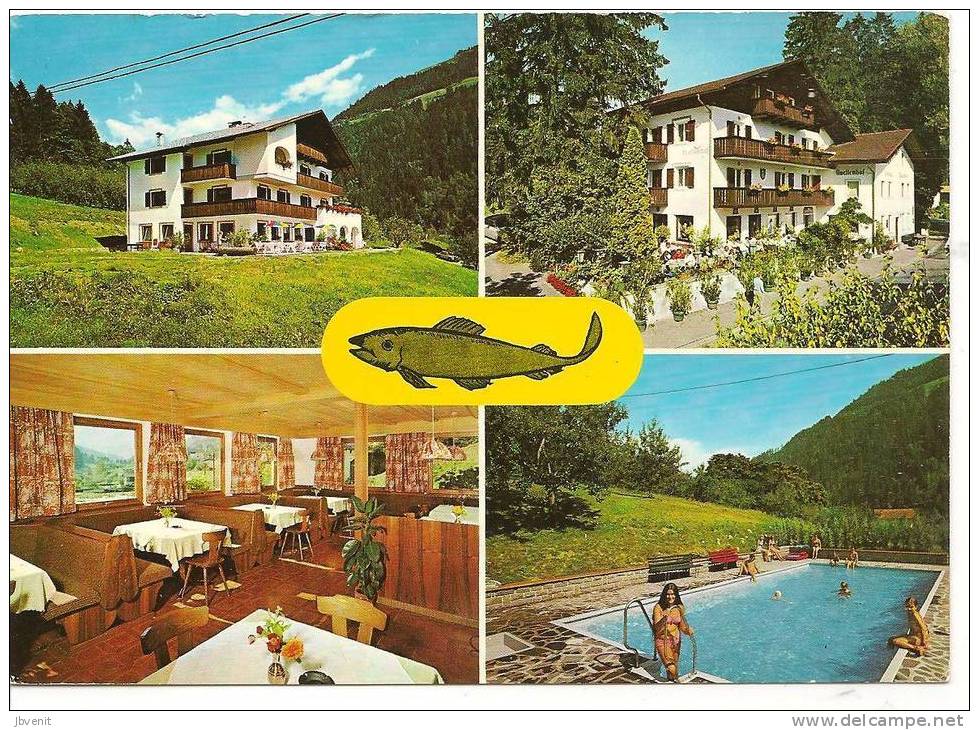 S. MARTINO - ST. MARTIN In Val Passiria (Bolzano - Bozen) - Pension Quellenhof - Bolzano (Bozen)