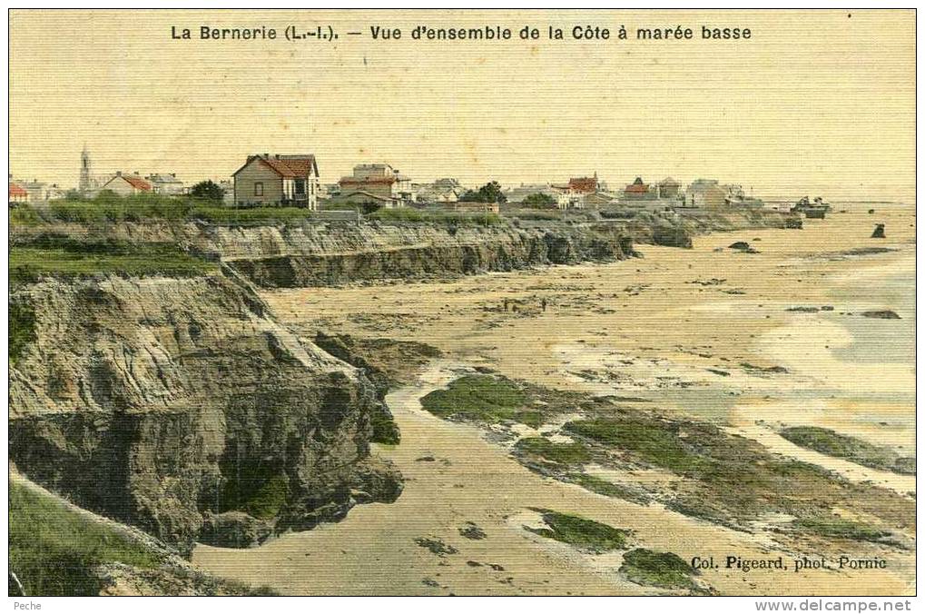 N°4401 -cpa La Bernerie -vue D´ensemble De La Côte à Marée Basse- - Autres & Non Classés