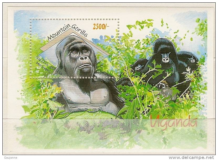 OUGANDA   Faune Ougandaise    Gorille    BF 157** - Gorilla's