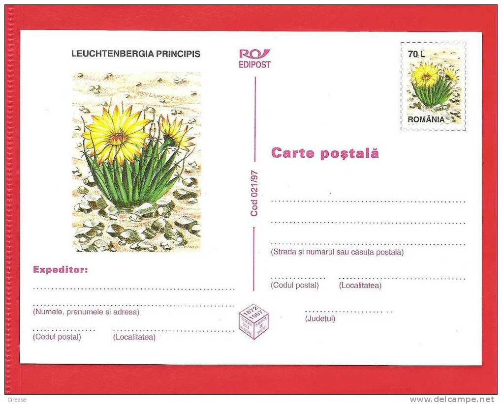 ROMANIA 1997 Postcard Stationery Postcard. Cactus Flower - Cactus