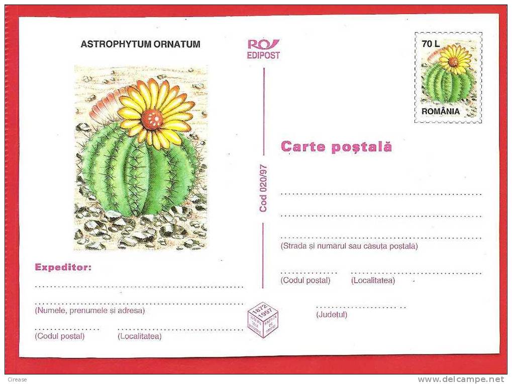 ROMANIA 1997 Postcard Stationery Postcard. Cactus Flower - Cactusses