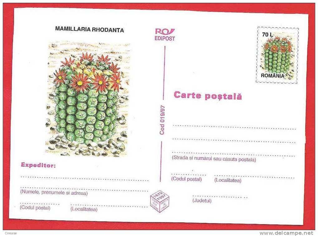 ROMANIA 1997 Postcard Stationery Postcard. Cactus Flower - Cactus