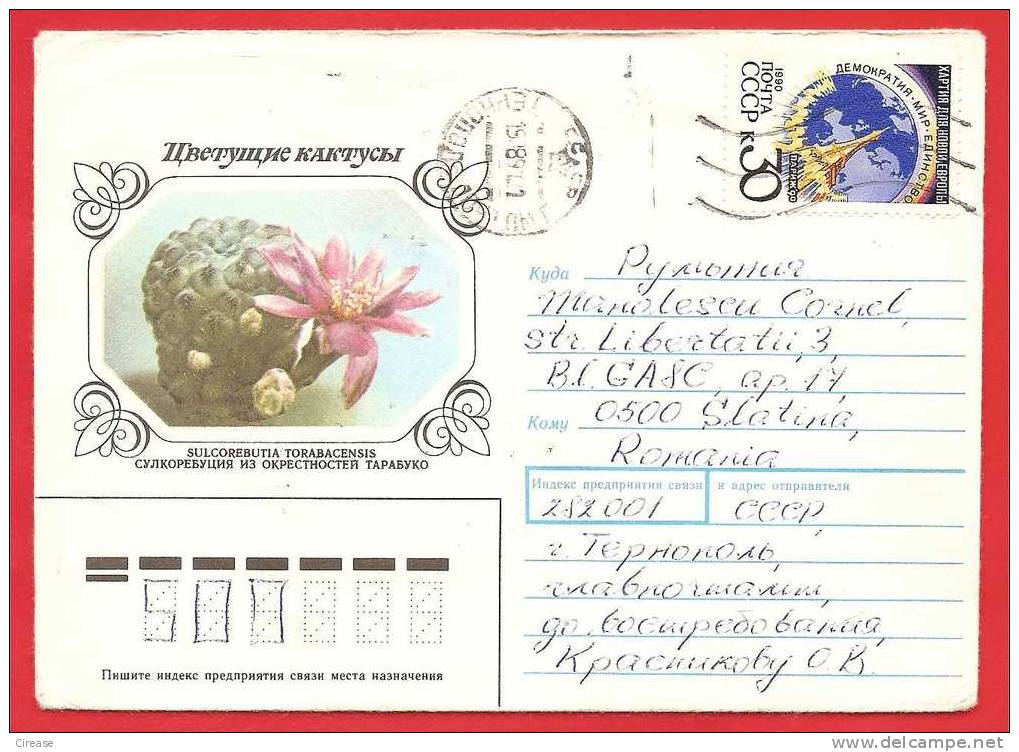 RUSSIA URSS Postcard Stationery Cover. Cactus Flower - Cactus