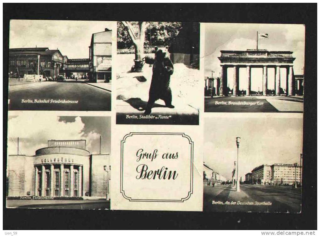 1957s ZOO BERLIN STADTBAR Berlin Germany BEAR Photo Pc To Bulgaria Bulgarien Bulgarie Bulgarije 17413 - Beren