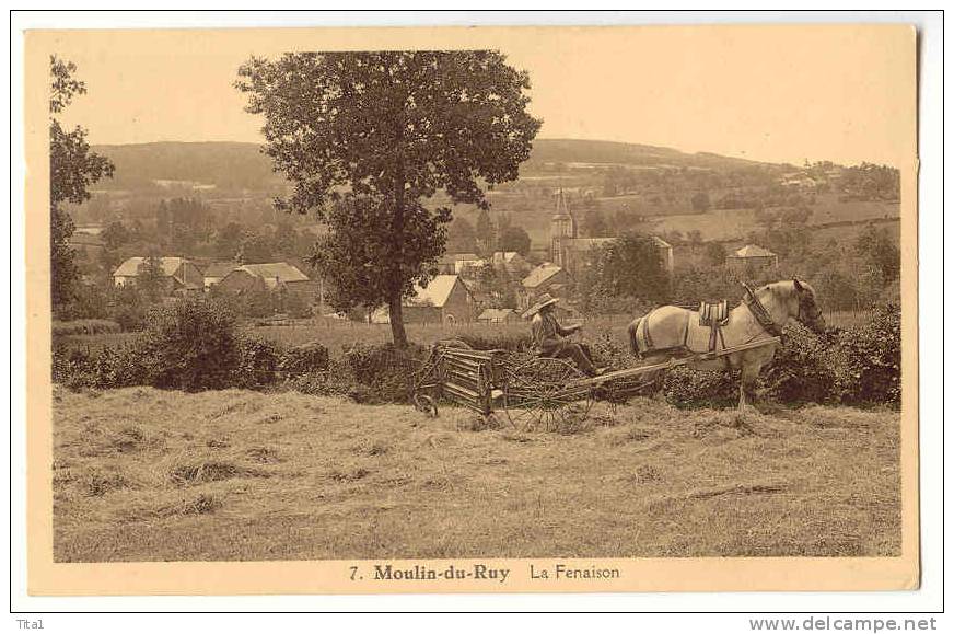 D643 - MOULIN-DU-RUY - La Fenaison  *cheval* - Stoumont