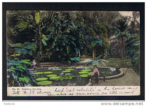 1907 Postcard Castleton Gardens Kingston Jamaica West Indies - Ref 512 - Jamaica