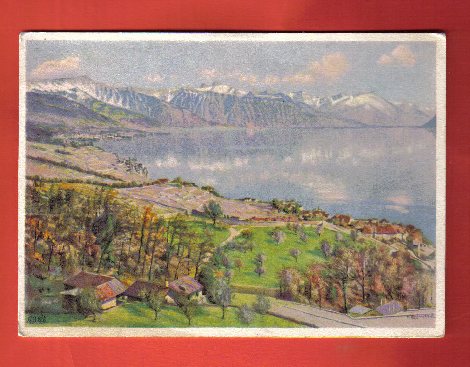 V336 Lavaux,Rivaz Et Haut-lac Léman, Heinard. Non Circulé,Grand Format. Stehli 2339 - Rivaz