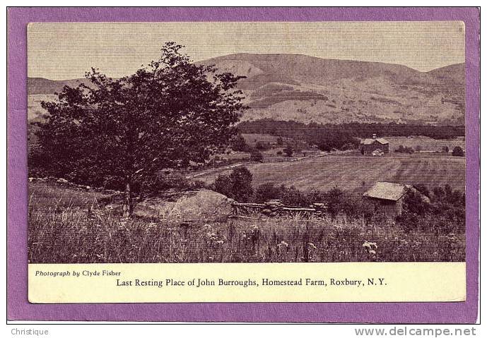 Last Resting Place Of John Burroughs, Homestead Farm, Roxbury, NY.  1900-10s - Long Island