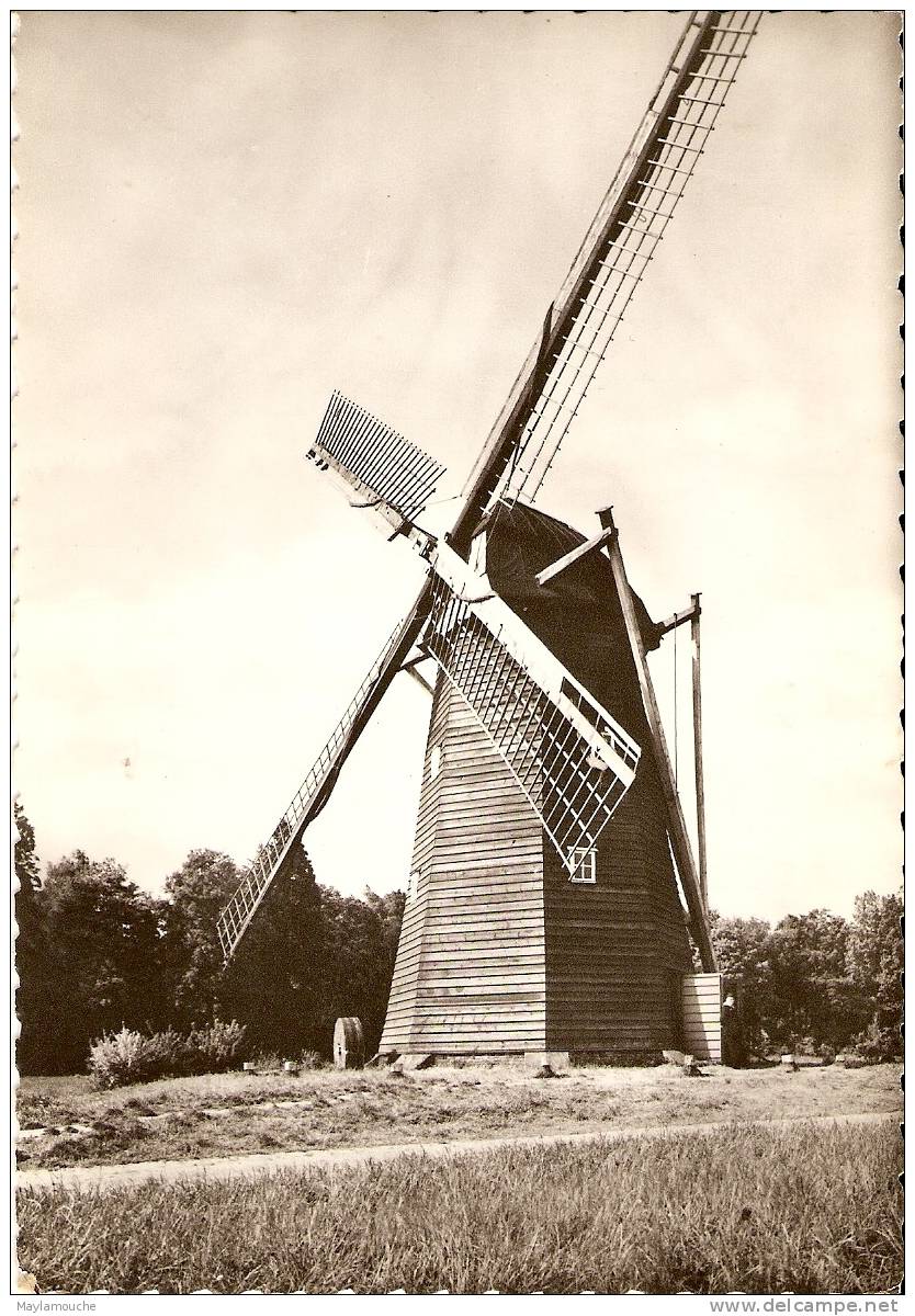 Bokrijk Molen - Genk