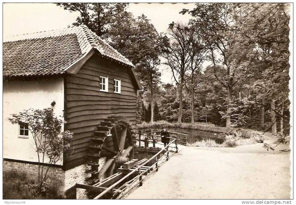 Bokrijk Molen - Genk