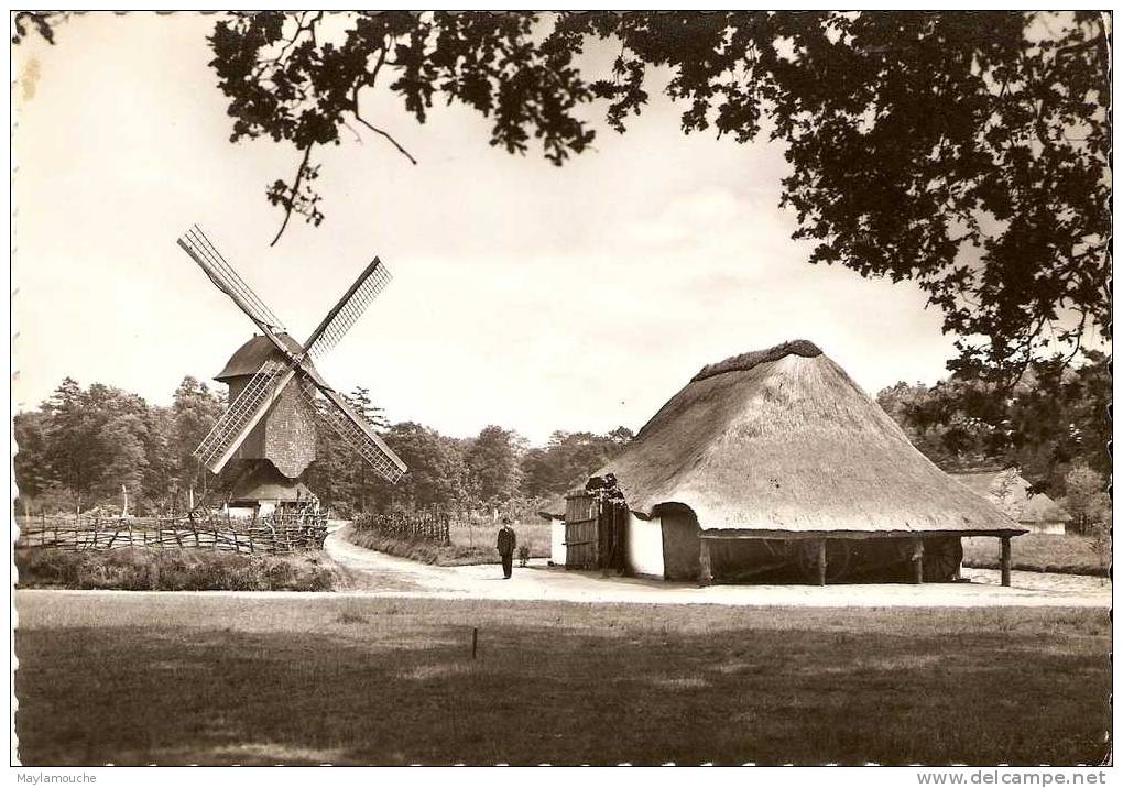 Bokrijk Molen - Genk