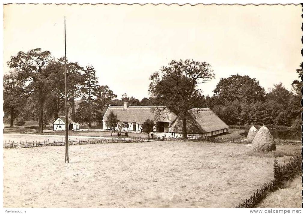 Bokrijk - Genk