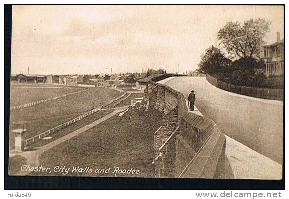 CPA.    CHESTER.    City Walls And Roodee.     (Rare) - Chester