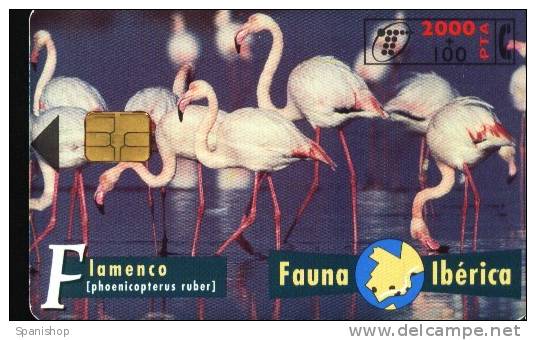 Spain Phonecard  Animal FAUNA IBERICA - FLAMENCO - Basisausgaben