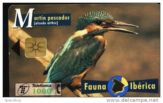 Spain Phonecard  Animal FAUNA IBERICA - MARTIN PESCADOR ( MARTIN FISHER) - Emissions Basiques