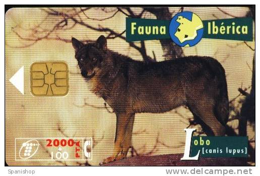 Spain Phonecard  Animal FAUNA IBERICA - LOBO ( WOLF) - Basisausgaben