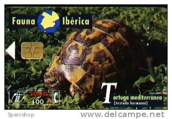Spain Phonecard  Animal FAUNA IBERICA -TORTUGA MEDITERRANEA - TURTLE - Emissions Basiques