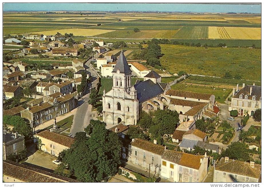 CP De NIEUL-SUR-L'AUTIZE " Vue Générale Sur L'abbaye Royale St-vincent , ..." . - Saint Hilaire Des Loges