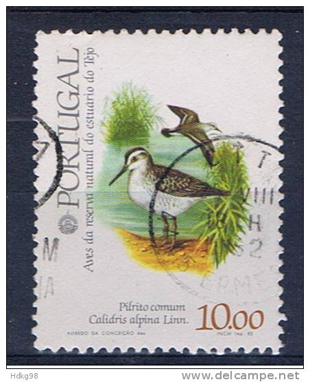 P+ Portugal 1982 Mi 1569 - Used Stamps