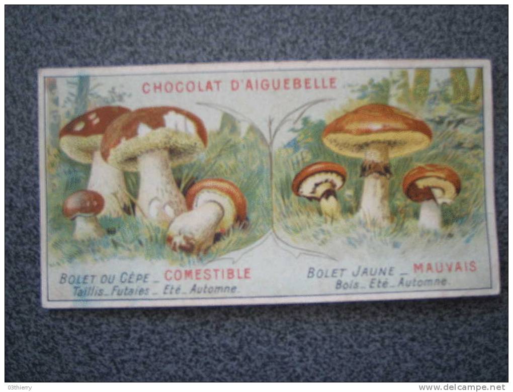 CHROMO-AIGUEBELLE-LES CHAMPIGNONS-CEPE ET BOLET JAUNE- - Aiguebelle