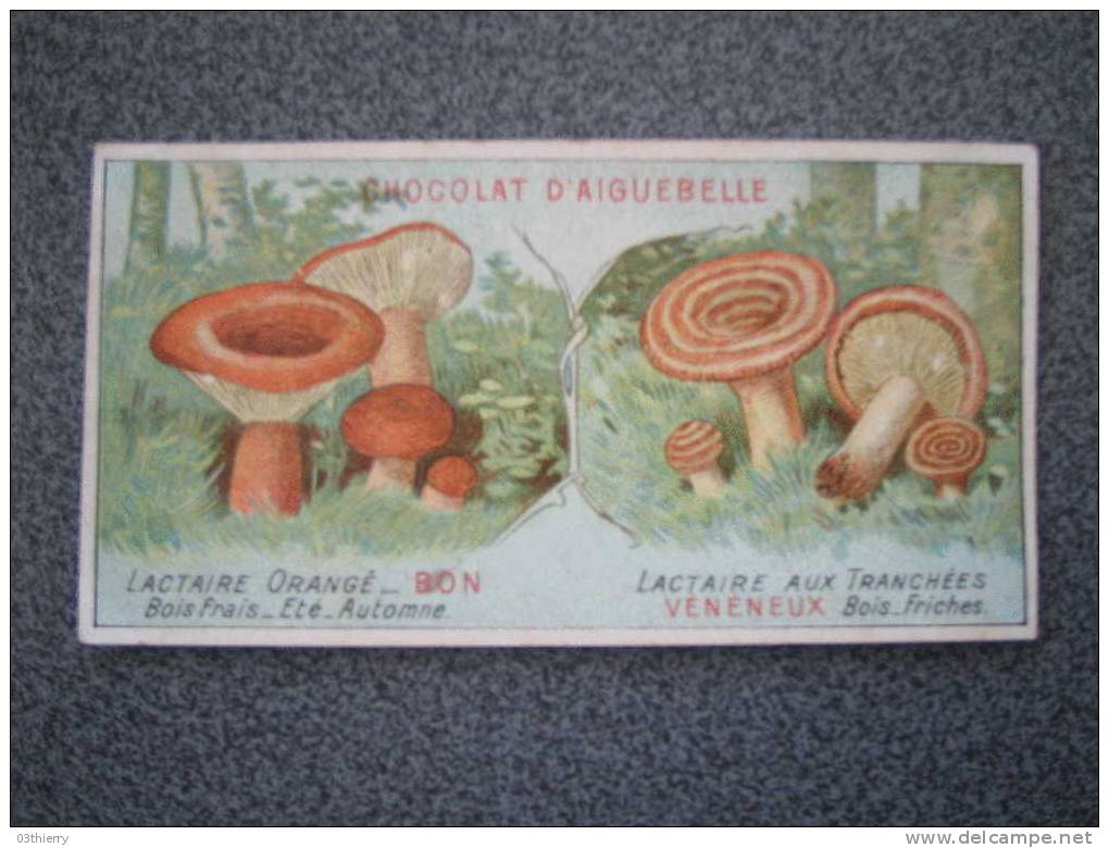 CHROMO-AIGUEBELLE-LES CHAMPIGNONS-LACTAIRE ORANGE ET LACTAIRE AUX TRANCHEES- - Aiguebelle