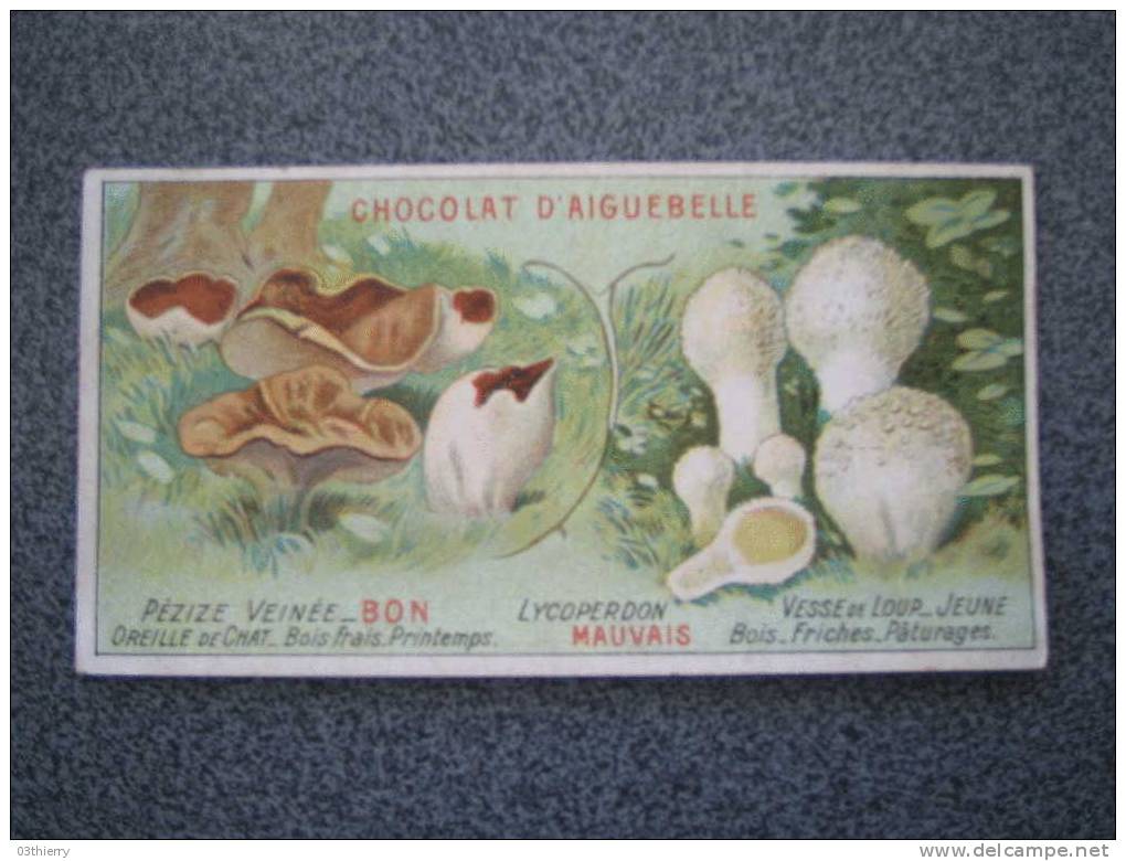 CHROMO-AIGUEBELLE-LES CHAMPIGNONS-PEZIZE VEINEE ET LYCOPERDON - - Aiguebelle