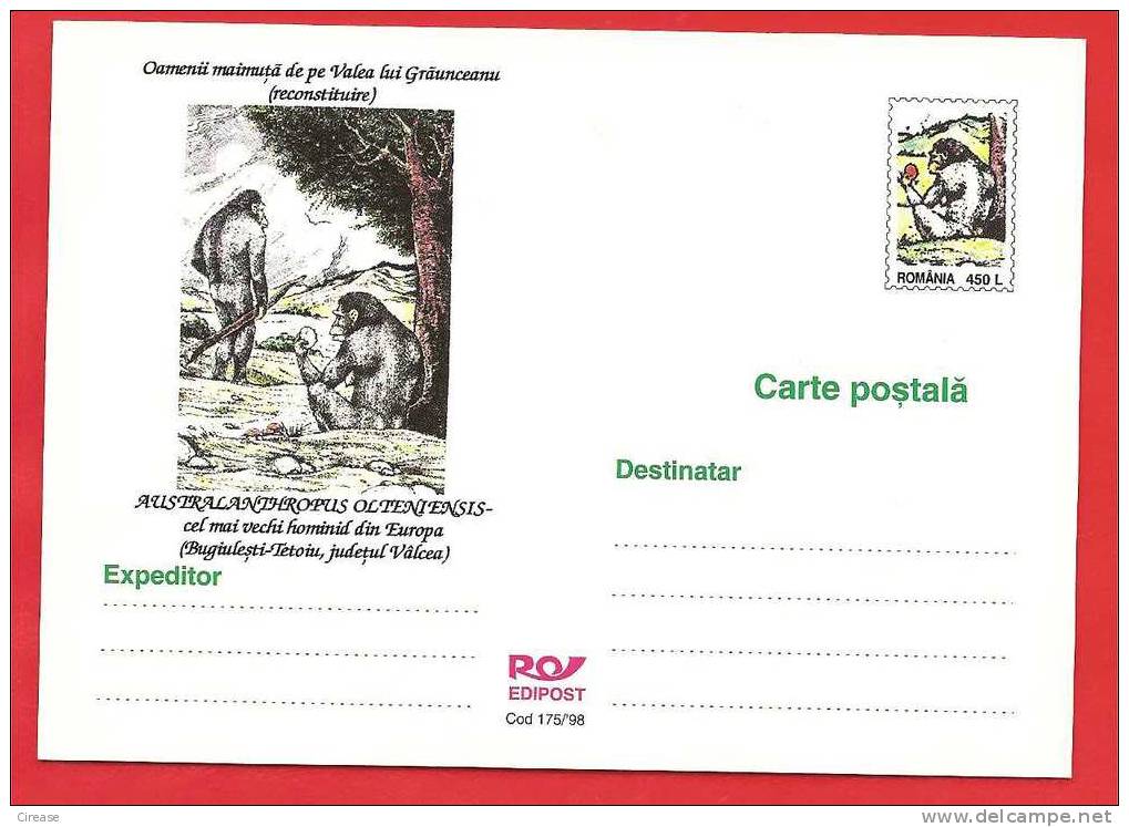 ROMANIA 1998 Postcard Stationery Postcard. People Monkey AUSTRALANTHROPUS OLTENIENSIS - Abeilles