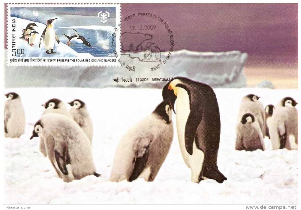 Maxim Card,Preserve The Polar Regions And Glaciers,Penguins,First Day Cancelled,Antarctica, - Pingueinos