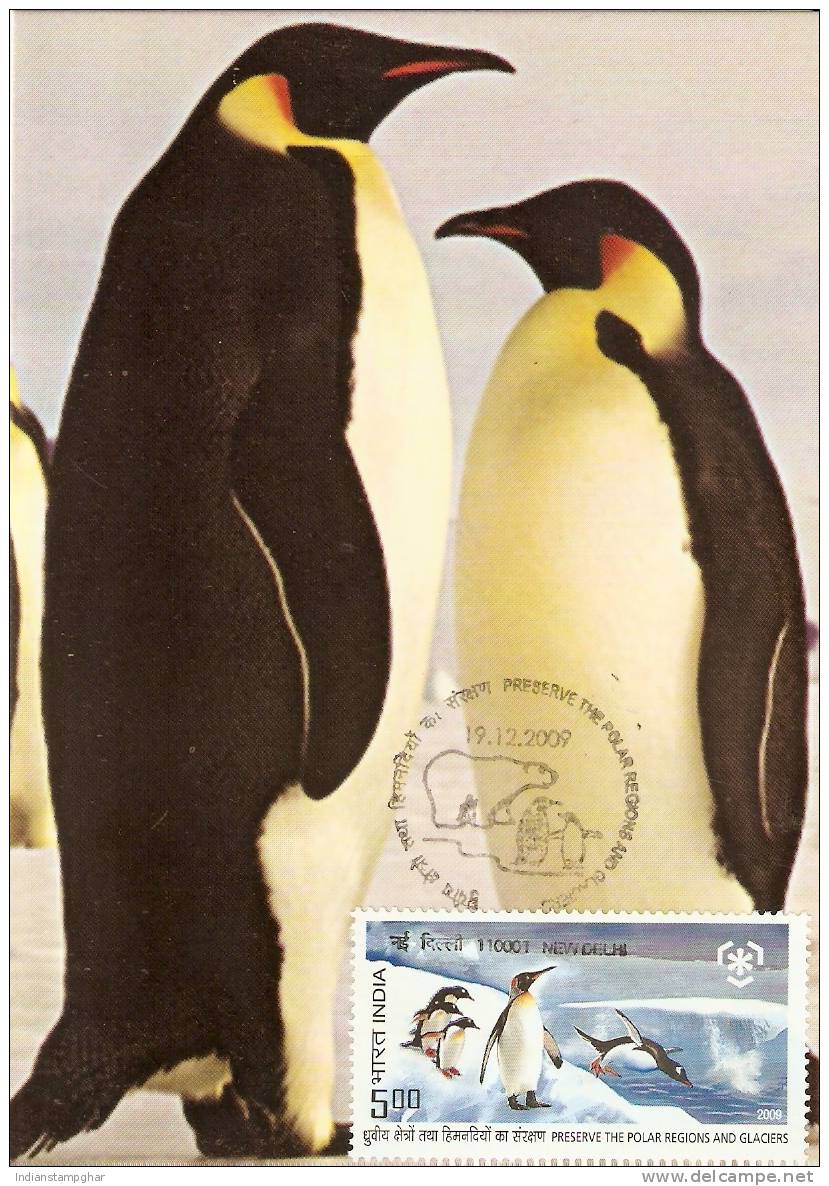 Maxim Card,Preserve The Polar Regions And Glaciers,Penguins,First Day Cancelled,Antarctica, - Penguins