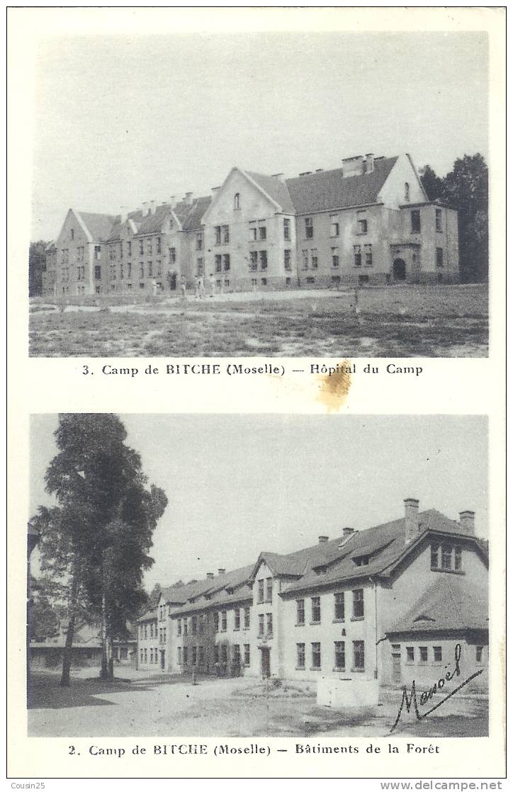 57 BITCHE - Hôpital Du Camp - Bâtiments De La Forêt - Bitche