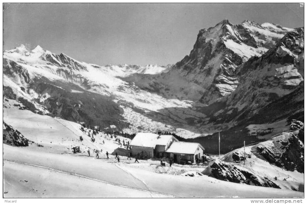 4373   Helvetia   Kleine Scheidegg   VG  1964 - Egg