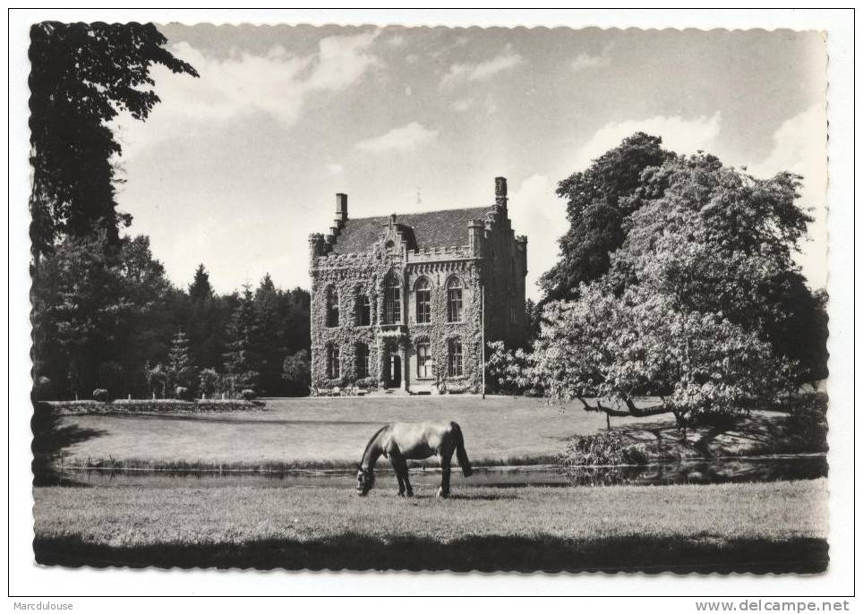 Maldegem. Kasteel Reesinge. Château. Postzegel - Timbre N° 859. - Maldegem