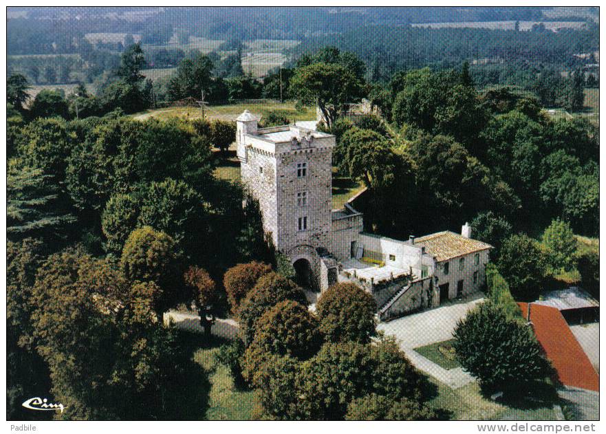 Carte Postale 17. Montendre-les-pins Et Le Chateau Vue D'avion Trés Beau Plan - Montendre