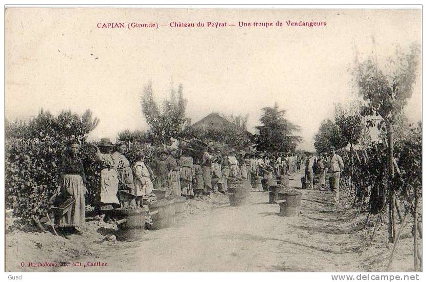 CAPIAN - CHATEAU DU PEYRAT UNE TROUPE DE VENDANGEURS - VIGNE VIN - Autres & Non Classés