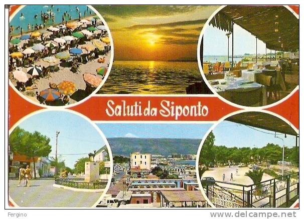 8776 - SIPONTO (MANFREDONIA FOGGIA) - Vedutine - Manfredonia