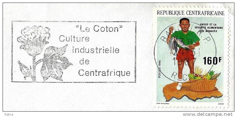 Centrafrique Secap /lettre Le Coton Culture Industrielle Plante Fleur Cotton Industrial Culture - Textile