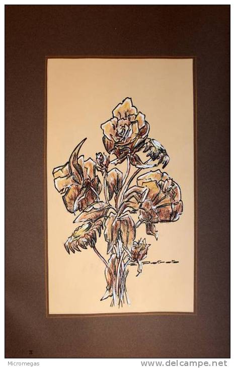 Etienne Petreto : Fleurs Aux Couleurs Anciennes IV : Roses Et Gerbera - Pastel